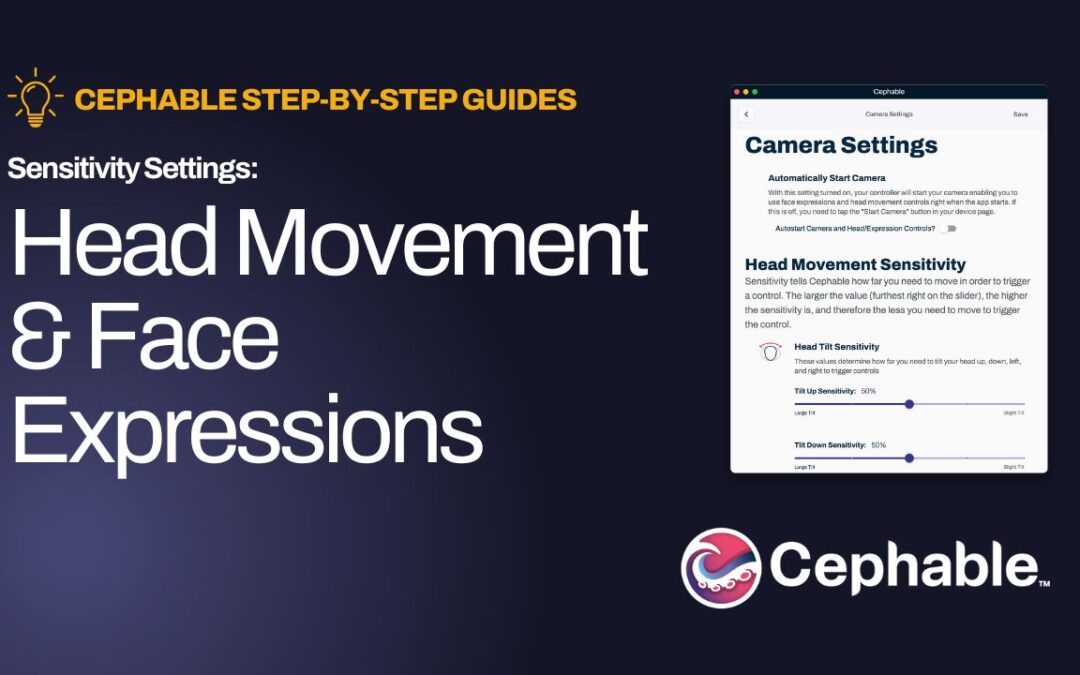 Sensitivity Settings: Head Movement and Face Expressions